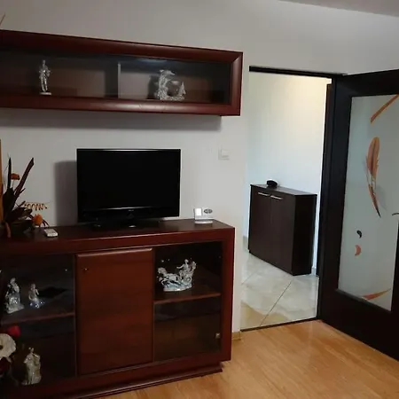 Apartment Joy Torontalului 1 *