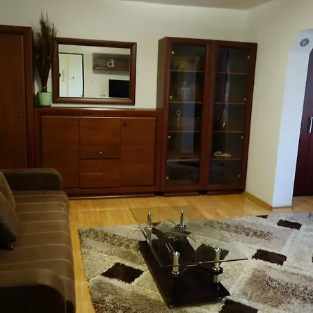 Apartment Joy Torontalului 1 *